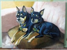 Miniature Pinchers pet painting